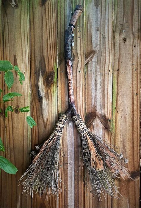 Two headed witch broom